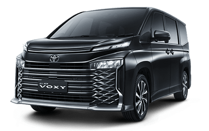 All New Voxy